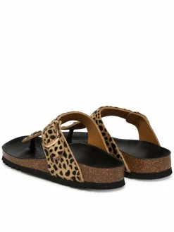 Infradito Anais F00629 Marrone