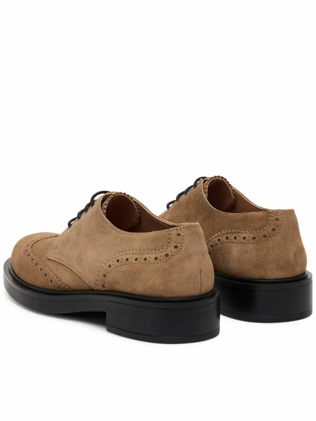 Oxfords SA10273G1NTF0135 Marrone