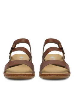 Sandali CEO-659C7-24 Marrone