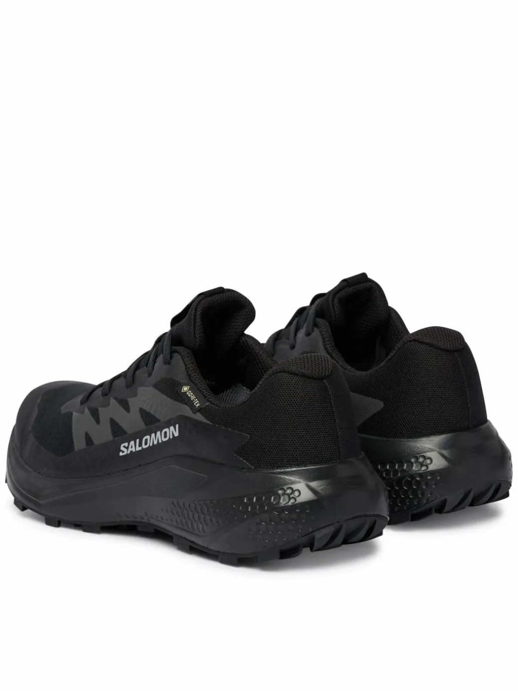 Scarpe running Alphaglide Gtx W L49214400 Blu scuro