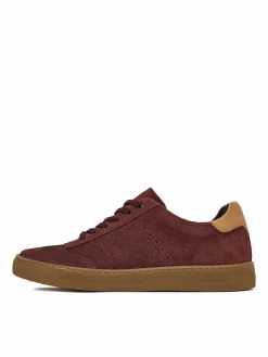 Sneakers CEO-WI16-D557-05 Bordeaux